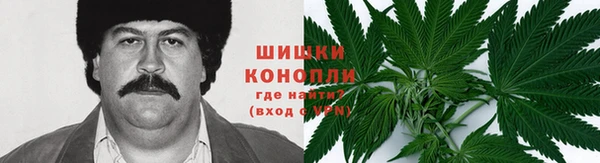 мяу мяу мука Аркадак